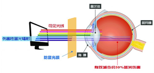 麻豆视频APP免费版最新科技成果 麻豆一级内射视频成護眼利器