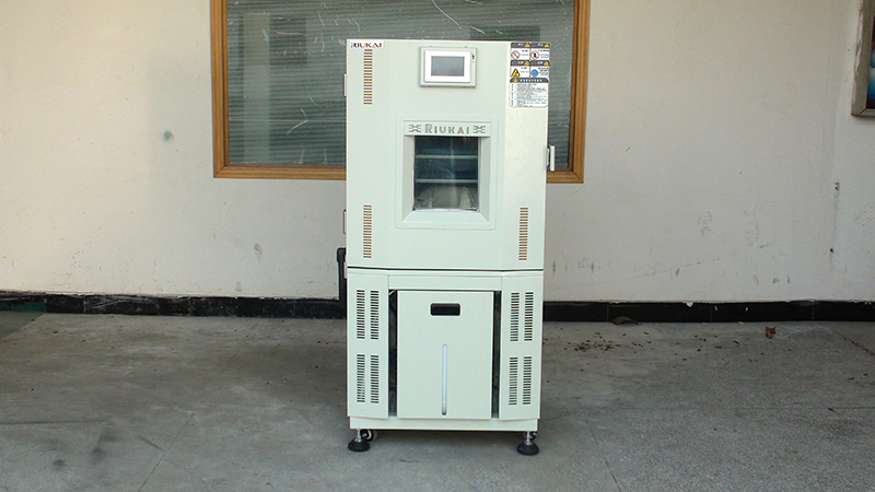 麻豆视频APP免费版国产精品麻豆欧美日韩WW