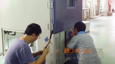 麻豆一级内射视频保养