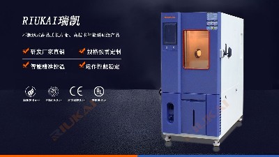 官方揭秘：新品RK-TH-100L可程式麻豆一级内射视频的各大亮点