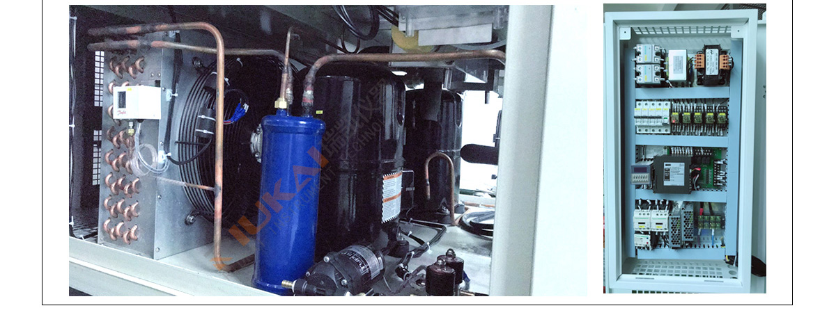 麻豆一级内射视频广东