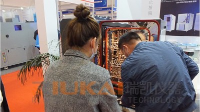 国产精品麻豆欧美日韩WW定制