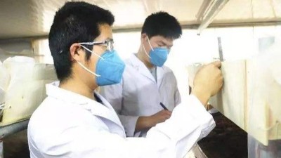 负载对麻豆一级内射视频的温湿度性能有哪些影响？