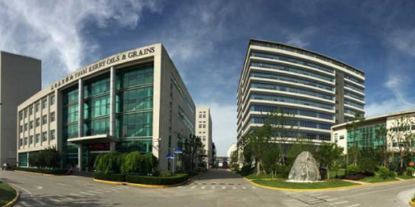 大学教授推荐金龙鱼选购麻豆视频APP免费版可程式麻豆一级内射视频案例